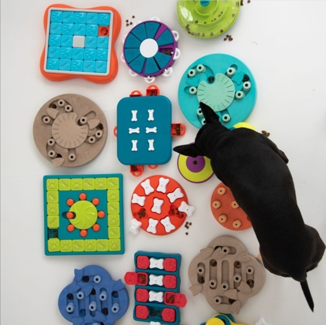 Nina Ottosson Puzzle Dog Toys
